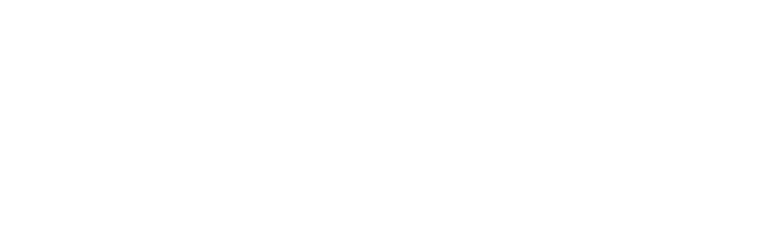 babushka digital